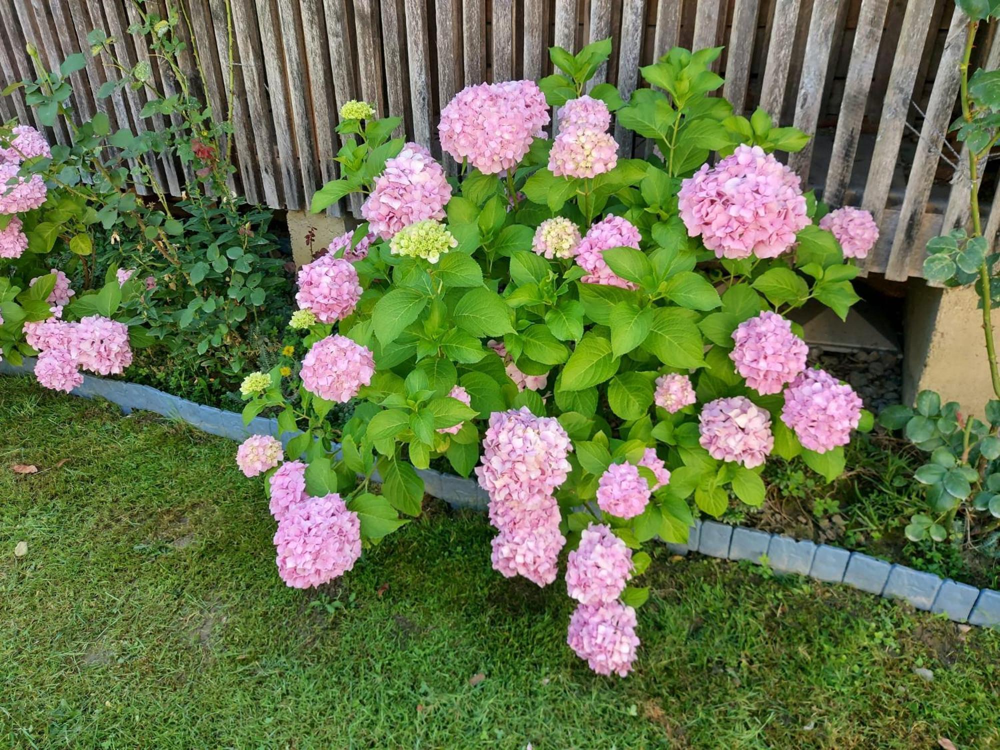 Kuca Za Odmor Mazuran Villa Karlovac Eksteriør billede