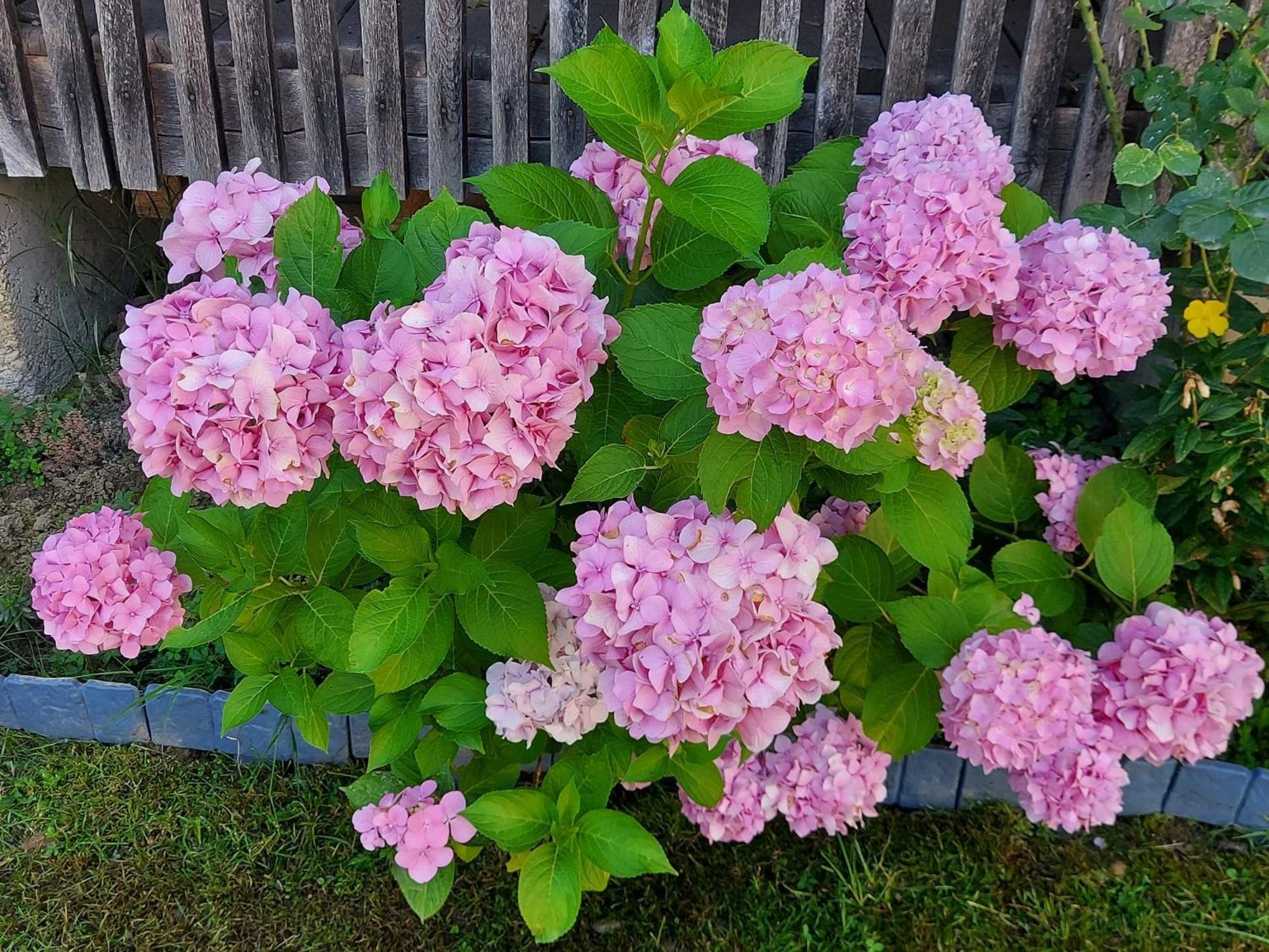 Kuca Za Odmor Mazuran Villa Karlovac Eksteriør billede